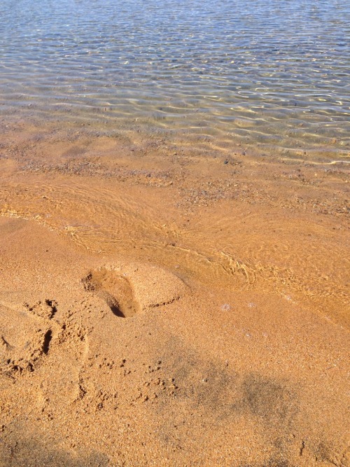 My Recent Trip To Tahoe =3