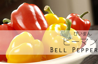 Vegetables (やさい・野菜) Bell Pepper: Piiman / ぴいまん　/　ピーマンBroccoli: Burokkorii / ぶろっこりい　/　ブロッコリーCarrot: N