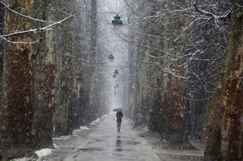 fotojournalismus:  A woman walks during snowfall in Sarajevo on April 5, 2015. (Dado Ruvic/Reuters)