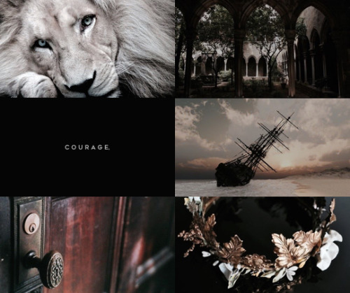 princssazula:the chronicles of narnia by c. s. lewis