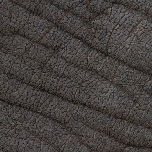 nyctaeus:  Yusuke Sakai, ‘Skin’