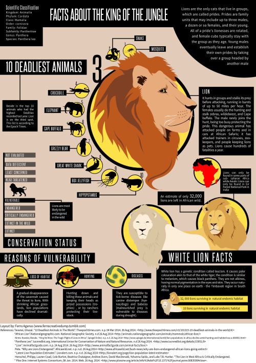 Art Theory Finals: Infographics -Higher resolution!