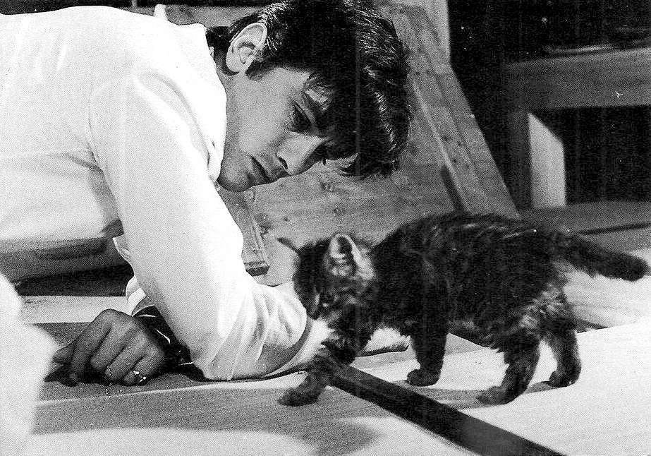 goldenageestate:    Alain Delon ~ Joy House, 1964 