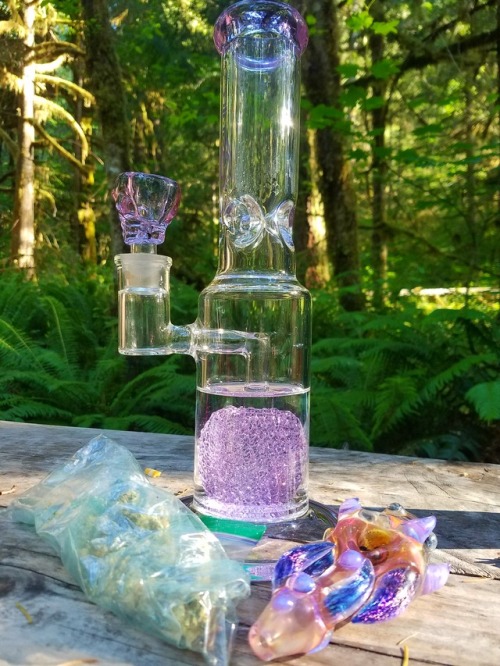 doobiedrewbie:Camping necessities. 