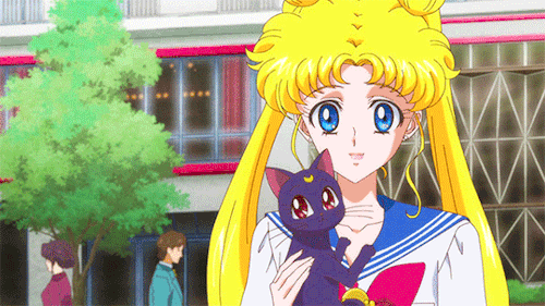 organasoloskywalker:Endless Sailor Moon Crystal 5/???
