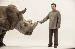 drsue10:  motherboardtv:  Protecting Wildlife Means Educating Humans: An Interview with Jackie Chan  Shark fin demand has gone down so much in China, is it because people now understand how the industry works? Chan: Yes! In the old days, nobody said