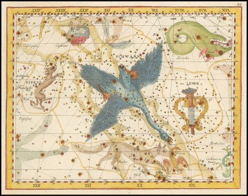 Cygnus, Lacerta and Lyra constellations, from Vorstellung der Gestirne auf XXXIV Kupfertafeln (1782)