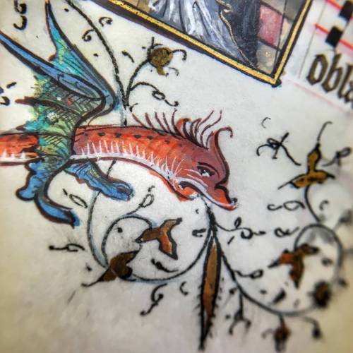 muspeccoll:Manuscript Monday is moving to Instagram! Follow us there for more beautiful illumination