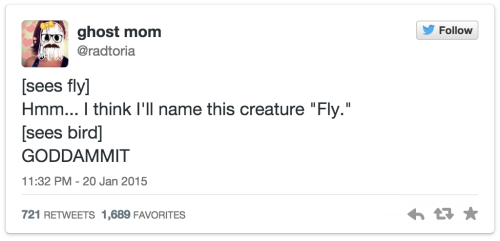 pleatedjeans:15 Twitter Jokes Everyone Should Read