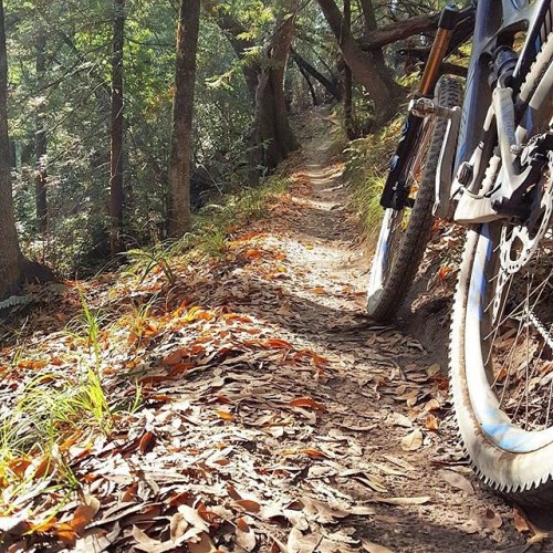 dfitzger: by @ibiscycles: Norcal Singletrack. Get yerself some goodness this weekend. Wherever you a