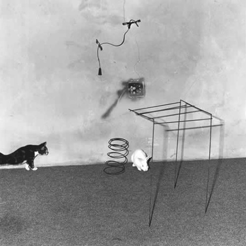 theparisreview:Roger Ballen, Shadow Chambers