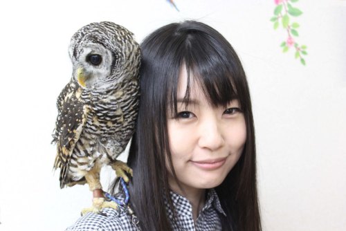 つぼみ「つぼみたんとお散歩たんR」第②回 AV女優・つぼみたんと一緒に新宿周辺お散歩デート編（後編）