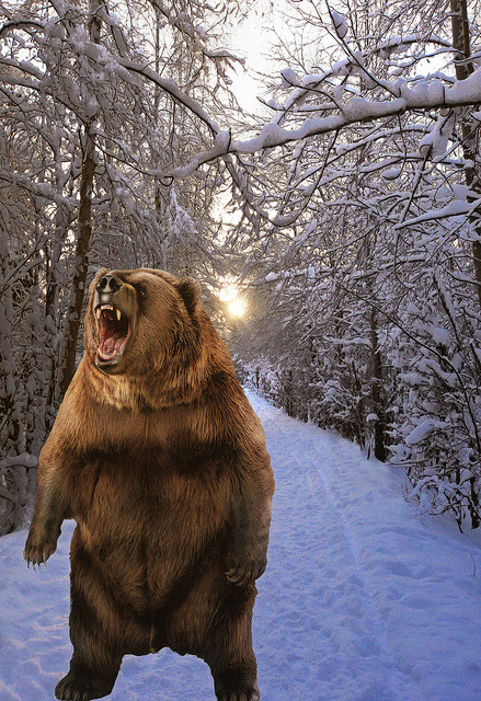 tulipnight:  My Worst Nightmare! by Douglas Brown on Flickr.