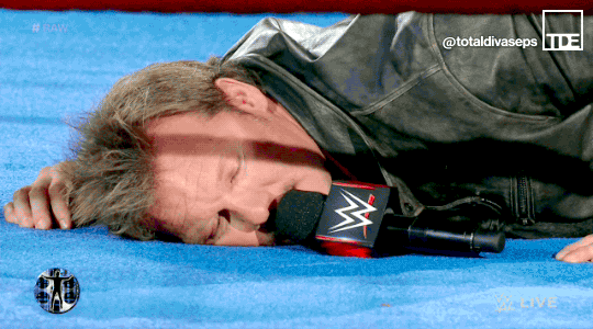 totaldivasepisodes:  The Nap of Jericho 