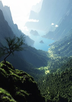 0rient-express:  Valley Forest Panorama.