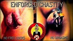 chastitychronicles:  Once someone has discovered chastity and realizes that it has to be part of their life it becomes like facing the music. It just grows louder and louder when you ignore it. 