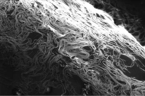  New solvent simplifies industrial 3D, roll-to-roll carbon nanotube printingCarbon nanotubes that ar
