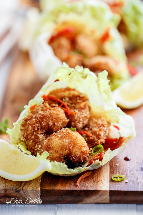 foodffs:  OVEN FRIED TEMPURA BATTER SHRIMP LETTUCE WRAPS WITH A TERIYAKI SAUCEReally nice recipes. Every hour.Show me what you cooked!