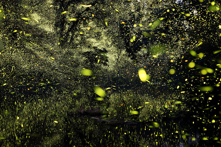 slowartday:  Long-exposure photography by Vincent Brady 