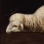 lamb-stone
