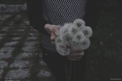 tumblr photo who-cares11 0