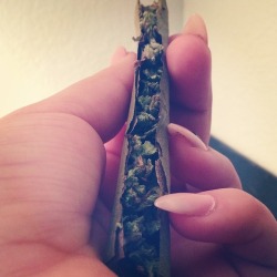 brndns-baked:  Girls that know how to roll a blunt &gt; basic bitches
