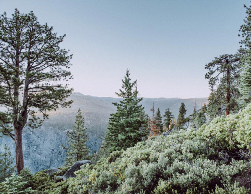 rootsgrowdeeper:  try and tell me this isnt one of the most beautiful places on this entire planet and I’ll slap ya in the damn face. 