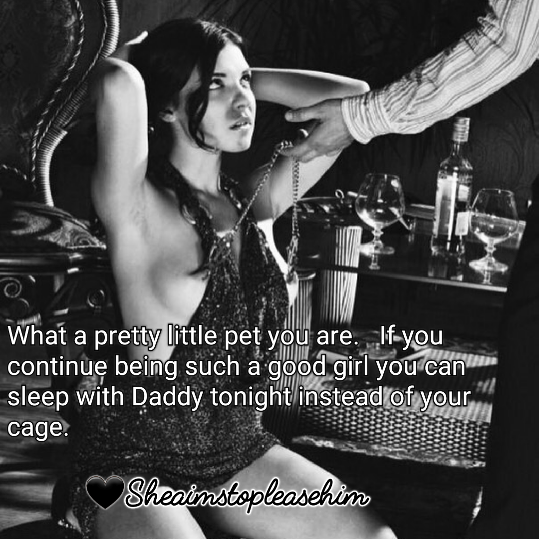 A Journey into the sissy rabbit hole