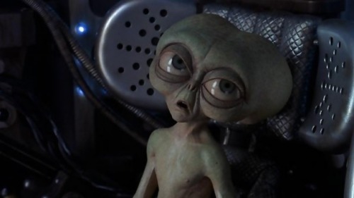 virusexe:  When you smoke and your friend asks if you want anything from Taco Bell