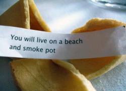 There’s a fortune I could handle