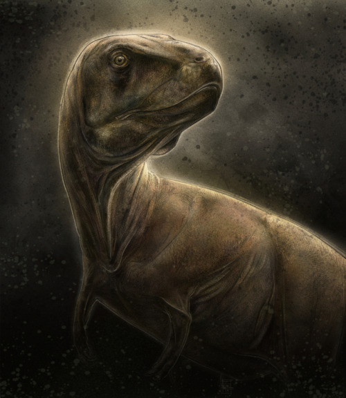 esmaniottoart: Elby: Back in Rex. Digital, 2019. References Elby, Life size baby Tyrannosaurus Rex b