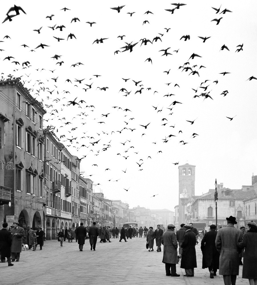 birdsong217: Elio Ciol. Mezzogiorno a Chioggia (Midday in Chioggia), Italy, 1959.