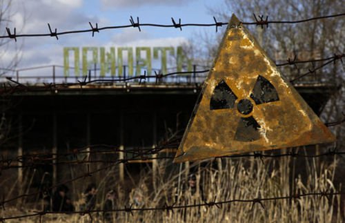 Chernobyl’s TreesThe disaster at the Chernobyl Nuclear Power Plant in Ukraine was one of the w
