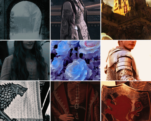 Post Your Favourite/wildest Asoiaf Crackships And Tag Blogs You Think Can Match The Energy