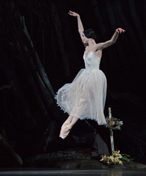 Natalia Osipova in Giselle. London, 18 January 2014. © Dave Morgan, courtesy the Royal Opera House.H