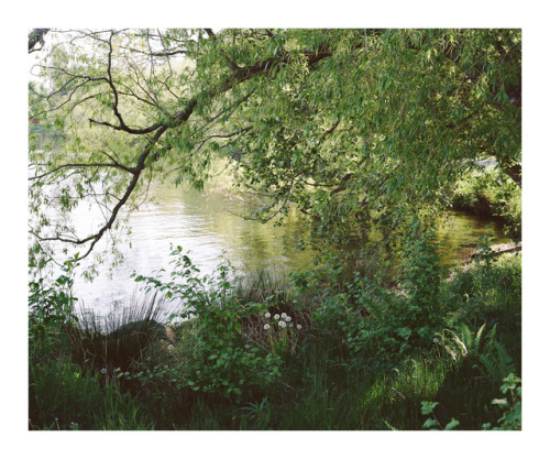 Greenlake, Seattle, WA2017