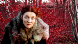 lady-arryn:female awesome meme: [5/5] mother charactersOne day she would allow herself to be less th
