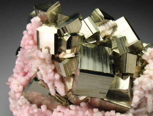 fuckyeahmineralogy:  Rhodochrosite and Pyrite; Cassandra Mines, Chalkidiki Prefecture, Greece