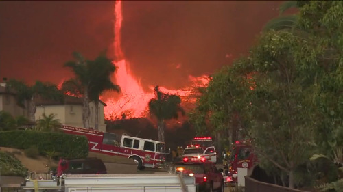 hetaliacaliforniadelsur:  San Diego Firestorm 2014 - Fire Tornadoes 