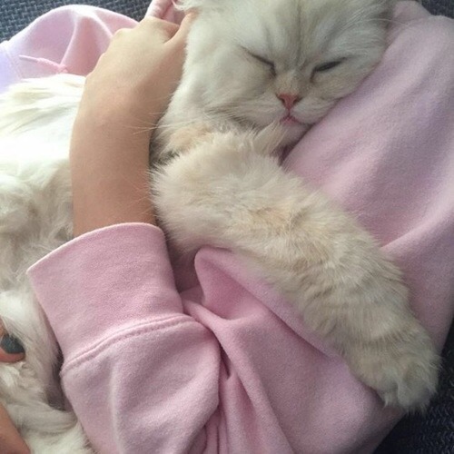 Kitty^_^