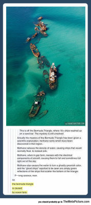 lolzandtrollz:The Mystery Of The Bermuda Triangle Is Finally Solved