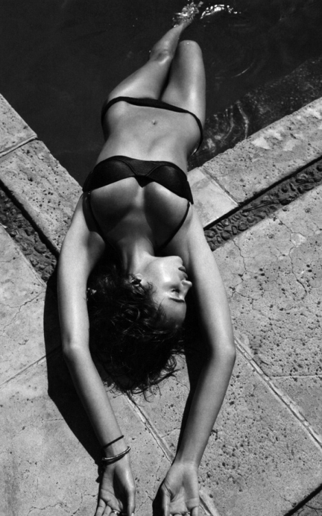 The Erotic Lightbox
