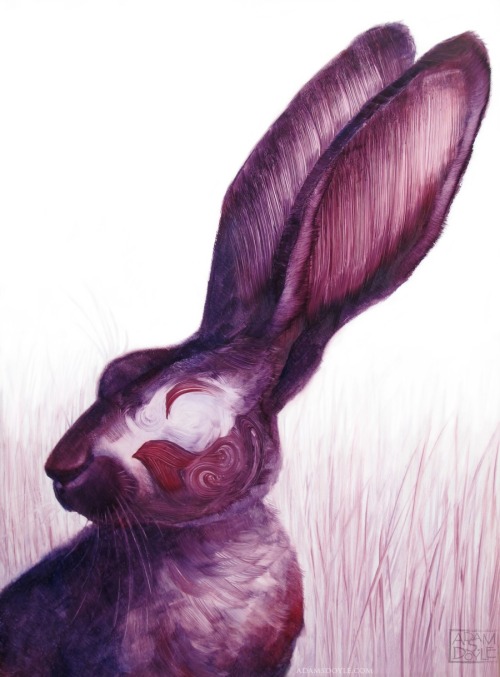 itscolossal:Artist Adam S. Doyle Utilizes Simplified Brushstrokes to Organically Conjure Animals to the Blank Page
