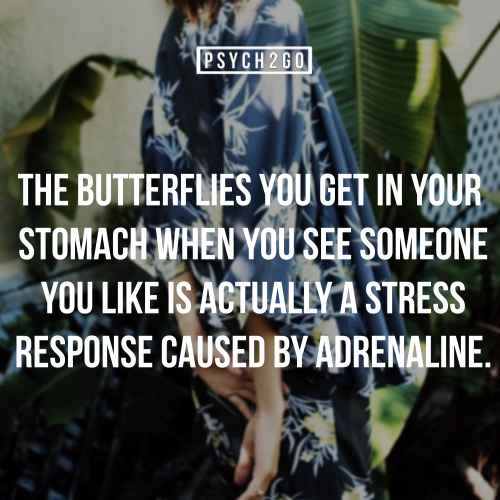 stonedwithcupid:  psych2go:  If you like this post, check out psych2go. We also have
