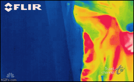the-absolute-funniest-posts:   thelittlestgustavo submitted:  fart with a thermal
