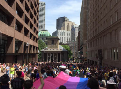 stilesisbiles: Giant bi pride flags. The world needs more of them.