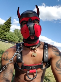 christiandatprince-blog:  Woof woof! We love