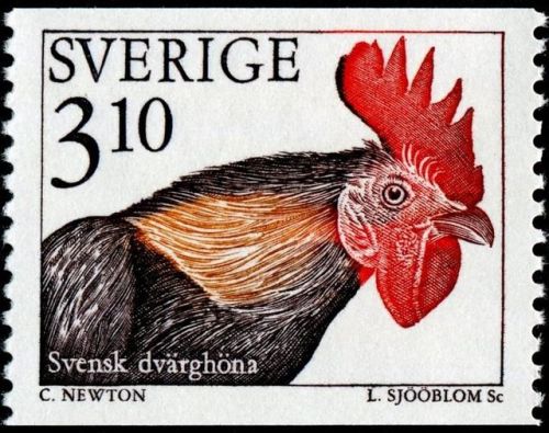 chickenoftheday:Chicken postage stamps from Tunisia, USSR, Mongolia, Norway, Azerbaijan, Cameroon, S
