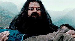 halphalp:  gifharrypotter: Harry Potter and the Deathly Hallows - parallels   Oh