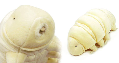 coolthingoftheday: Japanese company Village/Vanguard has (for some reason) decided to turn tardigrad
